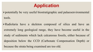 Application
potentially be very useful biostratigraphic and palaeoenvironmental
tools.
Radiolaria have a skeleton composed of silica and have an
extremely long geological range, they have become useful in the
study of sediments which lack calcareous fossils, either because of
deposition below the CCD (Carbonate Compensation Depth) or
because the strata being examined are too old.
 