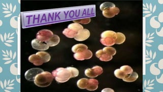 Chap. 7 Radiolaria.pptx