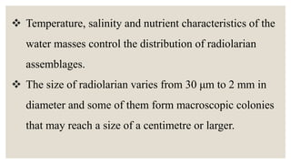  Temperature, salinity and nutrient characteristics of the
water masses control the distribution of radiolarian
assemblages.
 The size of radiolarian varies from 30 μm to 2 mm in
diameter and some of them form macroscopic colonies
that may reach a size of a centimetre or larger.
 