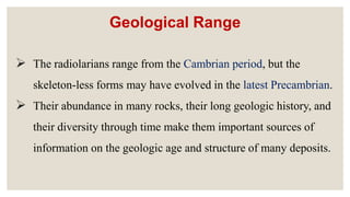 Geological Range
 The radiolarians range from the Cambrian period, but the
skeleton-less forms may have evolved in the latest Precambrian.
 Their abundance in many rocks, their long geologic history, and
their diversity through time make them important sources of
information on the geologic age and structure of many deposits.
 