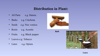 Distribution in Plant:
• All Parts e.g. Datura.
• Barks e.g. Cinchona
• Seeds e.g. Nux vomica
• Roots e.g. Aconite
• Fruits e.g. Black pepper
• Leaves e.g. Tobacco
• Latex e.g. Opium
Bark
Latex
 