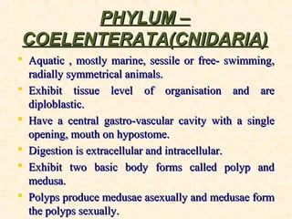 PHYLUM –PHYLUM –
COELENTERATA(CNIDARIA)COELENTERATA(CNIDARIA)
 Aquatic , mostly marine, sessile or free- swimming,Aquatic , mostly marine, sessile or free- swimming,
radially symmetrical animals.radially symmetrical animals.
 Exhibit tissue level of organisation and areExhibit tissue level of organisation and are
diploblastic.diploblastic.
 Have a central gastro-vascular cavity with a singleHave a central gastro-vascular cavity with a single
opening, mouth on hypostome.opening, mouth on hypostome.
 Digestion is extracellular and intracellular.Digestion is extracellular and intracellular.
 Exhibit two basic body forms called polyp andExhibit two basic body forms called polyp and
medusa.medusa.
 Polyps produce medusae asexually and medusae formPolyps produce medusae asexually and medusae form
the polyps sexually.the polyps sexually.
 