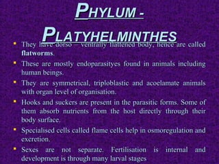 PPHYLUM -HYLUM -
PPLATYHELMINTHESLATYHELMINTHES They have dorso – ventrally flattened body, hence are calledThey have dorso – ventrally flattened body, hence are called
flatwormsflatworms..
 These are mostly endoparasityes found in animals includingThese are mostly endoparasityes found in animals including
human beings.human beings.
 They are symmetrical, triploblastic and acoelamate animalsThey are symmetrical, triploblastic and acoelamate animals
with organ level of organisation.with organ level of organisation.
 Hooks and suckers are present in the parasitic forms. Some ofHooks and suckers are present in the parasitic forms. Some of
them absorb nutrients from the host directly through theirthem absorb nutrients from the host directly through their
body surface.body surface.
 Specialised cells called flame cells help in osmoregulation andSpecialised cells called flame cells help in osmoregulation and
excretion.excretion.
 Sexes are not separate. Fertilisation is internal andSexes are not separate. Fertilisation is internal and
development is through many larval stagesdevelopment is through many larval stages..
 