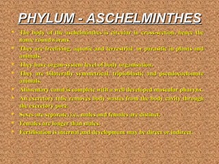 PHYLUM - ASCHELMINTHESPHYLUM - ASCHELMINTHES
 The body of the aschelminthes is circular in cross-section, hence theThe body of the aschelminthes is circular in cross-section, hence the
name roundworms.name roundworms.
 They are freeliving, aquatic and terrestrial or parasitic in plants andThey are freeliving, aquatic and terrestrial or parasitic in plants and
animals.animals.
 They have organ-system level of body organisation.They have organ-system level of body organisation.
 They are bilaterally symmetrical, triploblastic and pseudocoelomateThey are bilaterally symmetrical, triploblastic and pseudocoelomate
animals.animals.
 Alimentary canal is complete with a well developed muscular pharynx.Alimentary canal is complete with a well developed muscular pharynx.
 An excretory tube removes body wastes from the body cavity throughAn excretory tube removes body wastes from the body cavity through
the excretory pore.the excretory pore.
 Sexes are separate, i.e., males and females are distinct.Sexes are separate, i.e., males and females are distinct.
 Females are longer than males.Females are longer than males.
 Fertilisation is internal and development may be direct or indirect.Fertilisation is internal and development may be direct or indirect.
 