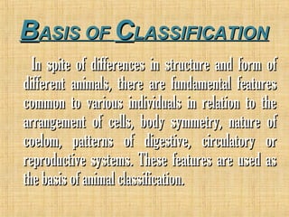 BBASIS OFASIS OF CCLASSIFICATIONLASSIFICATION
In spite of differences in structure and form ofIn spite of differences in structure and form of
different animals, there are fundamental featuresdifferent animals, there are fundamental features
common to various individuals in relation to thecommon to various individuals in relation to the
arrangement of cells, body symmetry, nature ofarrangement of cells, body symmetry, nature of
coelom, patterns of digestive, circulatory orcoelom, patterns of digestive, circulatory or
reproductive systems. These features are used asreproductive systems. These features are used as
the basis of animal classification.the basis of animal classification.
 