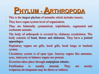 PPHYLUM -HYLUM - AARTHROPODARTHROPODA
 This is theThis is the largest phylumlargest phylum of animalia which includes insects.of animalia which includes insects.
 They have organ-system level of organisation.They have organ-system level of organisation.
 They are bilaterally symmetrical, triploblastic, segmented andThey are bilaterally symmetrical, triploblastic, segmented and
coelomate animals.coelomate animals.
 The body of arthropods is covered by chitinous exoskeleton. TheThe body of arthropods is covered by chitinous exoskeleton. The
body consists ofbody consists of head, thorax and abdomenhead, thorax and abdomen. They have a. They have a jointedjointed
appendages.appendages.
 Repiratory organs are gills, book gills, book lungs or trachealRepiratory organs are gills, book gills, book lungs or tracheal
system.system.
 Circulatory system is of open type. Sensory organs like antennae,Circulatory system is of open type. Sensory organs like antennae,
eyes, statocysts or balance organs are present.eyes, statocysts or balance organs are present.
 Excretion takes place throughExcretion takes place through malpighian tubulesmalpighian tubules..
 Fertilisation is usually internal. They are mostlyFertilisation is usually internal. They are mostly
oviparous.development may be direct or indirect.oviparous.development may be direct or indirect.
 