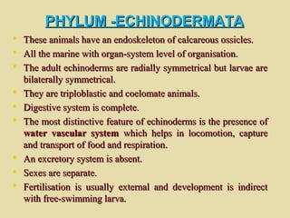 PHYLUM -ECHINODERMATAPHYLUM -ECHINODERMATA
 These animals have an endoskeleton of calcareous ossicles.These animals have an endoskeleton of calcareous ossicles.
 All the marine with organ-system level of organisation.All the marine with organ-system level of organisation.
 The adult echinoderms are radially symmetrical but larvae areThe adult echinoderms are radially symmetrical but larvae are
bilaterally symmetrical.bilaterally symmetrical.
 They are triploblastic and coelomate animals.They are triploblastic and coelomate animals.
 Digestive system is complete.Digestive system is complete.
 The most distinctive feature of echinoderms is the presence ofThe most distinctive feature of echinoderms is the presence of
water vascular systemwater vascular system which helps in locomotion, capturewhich helps in locomotion, capture
and transport of food and respiration.and transport of food and respiration.
 An excretory system is absent.An excretory system is absent.
 Sexes are separate.Sexes are separate.
 Fertilisation is usually external and development is indirectFertilisation is usually external and development is indirect
with free-swimming larva.with free-swimming larva.
 
