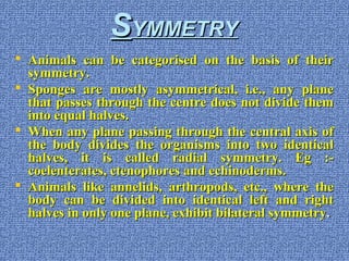 SSYMMETRYYMMETRY
 Animals can be categorised on the basis of theirAnimals can be categorised on the basis of their
symmetry.symmetry.
 Sponges are mostly asymmetrical, i.e., any planeSponges are mostly asymmetrical, i.e., any plane
that passes through the centre does not divide themthat passes through the centre does not divide them
into equal halves.into equal halves.
 When any plane passing through the central axis ofWhen any plane passing through the central axis of
the body divides the organisms into two identicalthe body divides the organisms into two identical
halves, it is called radial symmetry. Eg :-halves, it is called radial symmetry. Eg :-
coelenterates, ctenophores and echinoderms.coelenterates, ctenophores and echinoderms.
 Animals like annelids, arthropods, etc., where theAnimals like annelids, arthropods, etc., where the
body can be divided into identical left and rightbody can be divided into identical left and right
halves in only one plane, exhibit bilateral symmetryhalves in only one plane, exhibit bilateral symmetry..
 