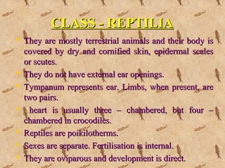 CLASS - REPTILIACLASS - REPTILIA
 They are mostly terrestrial animals and their body isThey are mostly terrestrial animals and their body is
covered by dry and cornified skin, epidermal scalescovered by dry and cornified skin, epidermal scales
or scutes.or scutes.
 They do not have external ear openings.They do not have external ear openings.
 Tympanum represents ear. Limbs, when present, areTympanum represents ear. Limbs, when present, are
two pairs.two pairs.
 heart is usually three – chambered, but four –heart is usually three – chambered, but four –
chambered in crocodiles.chambered in crocodiles.
 Reptiles are poikilotherms.Reptiles are poikilotherms.
 Sexes are separate. Fertilisation is internal.Sexes are separate. Fertilisation is internal.
 They are oviparous and development is direct.They are oviparous and development is direct.
 