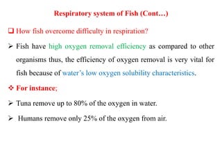 Respiratory system of Fish (Cont…)
 How fish overcome difficulty in respiration?
 Fish have high oxygen removal efficiency as compared to other
organisms thus, the efficiency of oxygen removal is very vital for
fish because of water’s low oxygen solubility characteristics.
 For instance;
 Tuna remove up to 80% of the oxygen in water.
 Humans remove only 25% of the oxygen from air.
 
