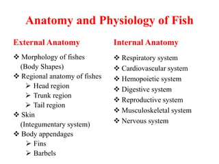 Anatomy and Physiology of Fish
External Anatomy
 Morphology of fishes
(Body Shapes)
 Regional anatomy of fishes
 Head region
 Trunk region
 Tail region
 Skin
(Integumentary system)
 Body appendages
 Fins
 Barbels
Internal Anatomy
 Respiratory system
 Cardiovascular system
 Hemopoietic system
 Digestive system
 Reproductive system
 Musculoskeletal system
 Nervous system
 