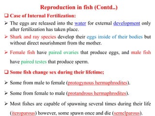 Reproduction in fish (Contd..)
 Case of Internal Fertilization:
 The eggs are released into the water for external development only
after fertilization has taken place.
 Shark and ray species develop their eggs inside of their bodies but
without direct nourishment from the mother.
 Female fish have paired ovaries that produce eggs, and male fish
have paired testes that produce sperm.
 Some fish change sex during their lifetime;
 Some from male to female (protogynous hermaphrodites).
 Some from female to male (protandrous hermaphrodites).
 Most fishes are capable of spawning several times during their life
(iteroparous) however, some spawn once and die (semelparous).
 