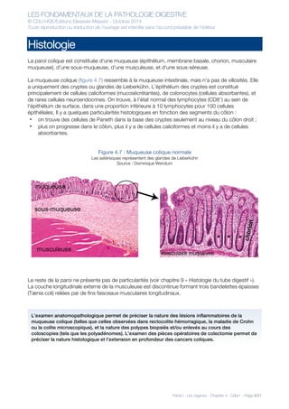 LES FONDAMENTAUX DE LA PATHOLOGIE DIGESTIVE
© CDU-HGE/Editions Elesevier-Masson - Octobre 2014
Toute reproduction ou traduction de l’ouvrage est interdite sans l’accord préalable de l’éditeur
Partie I : Les organes - Chapitre 4 : Côlon - Page 9/21
Histologie
La paroi colique est constituée d’une muqueuse (épithélium, membrane basale, chorion, musculaire
muqueuse), d’une sous-muqueuse, d’une musculeuse, et d’une sous-séreuse.
La muqueuse colique (figure 4.7) ressemble à la muqueuse intestinale, mais n’a pas de villosités. Elle
a uniquement des cryptes ou glandes de Lieberkühn. L’épithélium des cryptes est constitué
principalement de cellules caliciformes (mucosécrétantes), de colonocytes (cellules absorbantes), et
de rares cellules neuroendocrines. On trouve, à l’état normal des lymphocytes (CD8+
) au sein de
l’épithélium de surface, dans une proportion inférieure à 10 lymphocytes pour 100 cellules
épithéliales. Il y a quelques particularités histologiques en fonction des segments du côlon :
• on trouve des cellules de Paneth dans la base des cryptes seulement au niveau du côlon droit ;
• plus on progresse dans le côlon, plus il y a de cellules caliciformes et moins il y a de cellules
absorbantes.
Figure 4.7 : Muqueuse colique normale
Les astérisques représentent des glandes de Lieberkühn
Source : Dominique Wendum
Le reste de la paroi ne présente pas de particularités (voir chapitre 9 « Histologie du tube digestif »).
La couche longitudinale externe de la musculeuse est discontinue formant trois bandelettes épaisses
(Tænia coli) reliées par de fins faisceaux musculaires longitudinaux.
L’examen anatomopathologique permet de préciser la nature des lésions inflammatoires de la
muqueuse colique (telles que celles observées dans rectocolite hémorragique, la maladie de Crohn
ou la colite microscopique), et la nature des polypes biopsiés et/ou enlevés au cours des
coloscopies (tels que les polyadénomes). L’examen des pièces opératoires de colectomie permet de
préciser la nature histologique et l’extension en profondeur des cancers coliques.
 