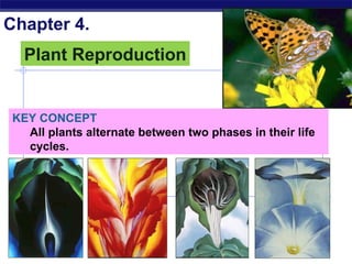 Chapter 4.
   Plant Reproduction


 KEY CONCEPT
   All plants alternate between two phases in their life
   cycles.




 AP Biology                                        2005-2006
 
