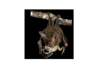 It  often result not in the best but in the best compromise, because 