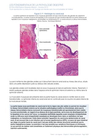 LES FONDAMENTAUX DE LA PATHOLOGIE DIGESTIVE
© CDU-HGE/Editions Elesevier-Masson - Octobre 2014
Toute reproduction ou traduction de l’ouvrage est interdite sans l’accord préalable de l’éditeur
Partie I : Les organes - Chapitre 5 : Rectum-Canal anal - Page 13/21
Figure 5.11 :Histologie du canal anal
La partie supérieure est tapissée d’une muqueuse glandulaire de type rectal (A) avec des glandes de Lieberkühn
mucosécrétantes. La partie moyenne est tapissée d’une muqueuse de type transitionnelle (B) et la partie inférieure est
tapissée d’une muqueuse malpighienne, pluristratifiée non kératinisante (C). Le cercle entoure un plexus hémorroïdaire
interne. Source : Dominique Wendum
La paroi renferme des glandes anales qui s’abouchent dans le canal anal au niveau des sinus, situés
dans une petite dépression juste au-dessus des valvules anales.
Les glandes anales sont localisées dans la sous-muqueuse et dans le sphincter interne. Rarement, il
existe quelques glandes anales dans l’espace entre le sphincter interne et externe ou même dans le
sphincter externe.
La musculaire muqueuse est présente dans la partie haute du canal anal et s’arrête dans la zone
transitionnelle. Le sphincter interne du canal anal est en continuité avec la couche circulaire interne de
la musculeuse rectale.
La partie basse sous-pectinéale du canal anal et de la région des plis radiés ne permet de visualiser
le réseau hémorroïdaire externe qu’en situation pathologique (caillot ou thrombose), alors que le
réseau hémorroïdaire interne recouvert de muqueuse transitionnelle est spontanément bien visible.
La zone jonctionnelle, en regard et au-dessus de la ligne pectinée, est la zone de développement de
la dysplasie et du cancer de l’anus. La dysplasie épithéliale (appelée aussi néoplasie intraépithéliale
anale ou AIN pour anal intraepithelial neoplasia) se développe donc dans un épithélium de type
malipighien ou transitionnel. Cette lésion précède l’apparition du carcinome épidermoïde du canal
anal, et est souvent liée à une infection par le human papillomavirus (HPV). La paroi de type intestinal
qui siège à la partie haute du canal anal n’est pas dotée des mêmes structures sensitives que la
partie malpighienne basse. La première n’est pas sensible aux variations thermiques et chimiques,
ce qui permet de réaliser sans anesthésie un traitement physique des hémorroïdes (photocagulation,
injection sclérosante).
 