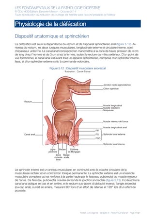 LES FONDAMENTAUX DE LA PATHOLOGIE DIGESTIVE
© CDU-HGE/Editions Elesevier-Masson - Octobre 2014
Toute reproduction ou traduction de l’ouvrage est interdite sans l’accord préalable de l’éditeur
Partie I : Les organes - Chapitre 5 : Rectum-Canal anal - Page 14/21
Physiologie de la défécation
Dispositif anatomique et sphinctérien
La défécation est sous la dépendance du rectum et de l’appareil sphinctérien anal (figure 5.12). Au
niveau du rectum, les deux tuniques musculaires, longitudinale externe et circulaire interne, sont
d’épaisseur uniforme. Le canal anal correspond en manométrie à la zone de haute pression de 4 cm
de long chez l’homme et de 3 cm chez la femme, isolant le rectum du milieu extérieur. D’un point de
vue fonctionnel, le canal anal est avant tout un appareil sphinctérien, composé d’un sphincter interne,
lisse, et d’un sphincter externe strié, à commande volontaire.
Figure 5.12 : Dispositif musculaire anorectal
Illustration : Carole Fumat
Le sphincter interne est un anneau musculaire, en continuité avec la couche circulaire de la
musculeuse rectale, et en contraction tonique permanente. Le sphincter externe est un ensemble
musculaire complexe qui se renforce à la partie haute par le faisceau puborectal du muscle releveur
de l’anus. Ce faisceau puborectal cravate en fronde la jonction anorectale (figure 5.13). Il crée entre le
canal anal oblique en bas et en arrière, et le rectum sus-jacent d’obliquité inverse, l’angle anorectal
(ou cap anal), ouvert en arrière, mesurant 80° lors d’un effort de retenue et 120° lors d’un effort de
poussée.
Zone
cutanée
lisse
Marge
anale
PectenLigne
pectinée
Colonne
de Morgagni
Rectum
Canal anal
Côlon sigmoïde
Muscle longitudinal
Muscle longitudinal anal
Sphincter anal interne
Muscle circulaire
Muqueuse
Jonction recto-sigmoïdienne
Muscle releveur de l’anus
Sphincter anal externeF.S.
F.P.
F.SC.
 