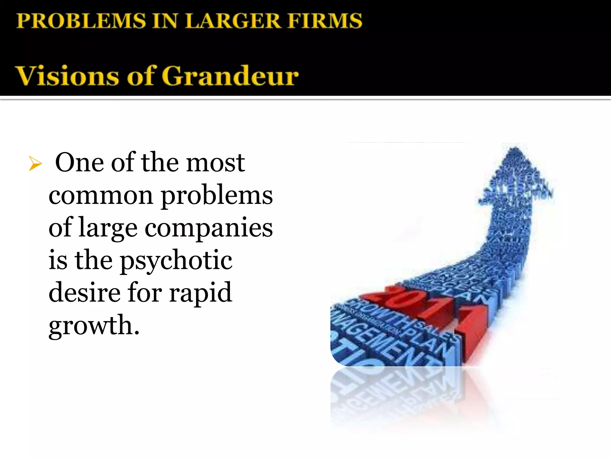     One of the most
    common problems
    of large companies
    is the psychotic
    desire for rapid
    growth.
 