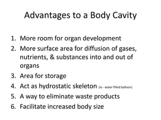 Advantages to a Body Cavity
1. More room for organ development
2. More surface area for diffusion of gases,
nutrients, & substances into and out of
organs
3. Area for storage
4. Act as hydrostatic skeleton (ie - water filled balloon)
5. A way to eliminate waste products
6. Facilitate increased body size
 