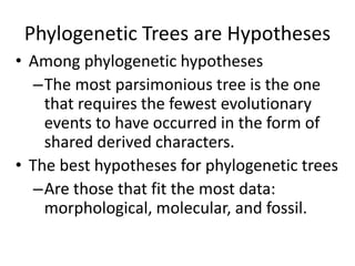 Phylogenetic Trees are Hypotheses
• Among phylogenetic hypotheses
–The most parsimonious tree is the one
that requires the fewest evolutionary
events to have occurred in the form of
shared derived characters.
• The best hypotheses for phylogenetic trees
–Are those that fit the most data:
morphological, molecular, and fossil.
 