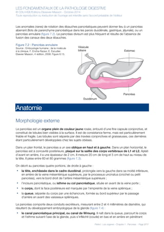 LES FONDAMENTAUX DE LA PATHOLOGIE DIGESTIVE
© CDU-HGE/Editions Elesevier-Masson - Octobre 2014
Toute reproduction ou traduction de l’ouvrage est interdite sans l’accord préalable de l’éditeur
Partie I : Les organes - Chapitre 7 : Pancréas - Page 2/17
Les anomalies (rares) de rotation des ébauches pancréatiques peuvent donner lieu à un pancréas
aberrant (îlots de parenchyme pancréatique dans les parois duodénale, gastrique, jéjunale), ou un
pancréas annulaire (figure 7.2). Le pancréas divisum est plus fréquent et résulte de l’absence de
fusion des canaux des deux ébauches.
Figure 7.2 : Pancréas annulaire
Source : Embryologie humaine : de la molécule
à la clinique, F. Encha-Razavi, E. Escudier.
Elsevier Masson, 4e
édition, 2008. Figure 8.13.
Anatomie
Morphologie externe
Le pancréas est un organe plein de couleur jaune rosée, entouré d’une fine capsule conjonctive, et
constitué de lobules bien visibles à la surface. Il est de consistance ferme, mais est particulièrement
friable et fragile. Les lobules sont séparés par des travées conjonctives et graisseuses, ces dernières
étant particulièrement développées chez les sujets obèses.
Dans un plan frontal, le pancréas a un axe oblique en haut et à gauche. Dans un plan horizontal, le
pancréas est à concavité postérieure, plaqué sur la saillie des corps vertébraux de L1 et L2. Aplati
d’avant en arrière, il a une épaisseur de 2 cm. Il mesure 20 cm de long et 5 cm de haut au niveau de
la tête. Il pèse entre 60 et 80 grammes (figure 7.3).
On décrit au pancréas quatre portions, de droite à gauche :
• la tête, enchâssée dans le cadre duodénal, prolongée vers la gauche dans sa moitié inférieure,
en arrière de la veine mésentérique supérieure, par le processus uncinatus (crochet ou petit
pancréas), vers le bord droit de l’artère mésentérique supérieure ;
• l’incisure pancréatique, ou isthme ou col pancréatique, située en avant de la veine porte ;
• le corps, dont la face postérieure est marquée par l’empreinte de la veine splénique ;
• la queue, séparée du corps par une échancrure, formée au bord supérieur par le passage
d’arrière en avant des vaisseaux spléniques.
Le pancréas comporte deux conduits excréteurs, mesurant entre 2 et 4 millimètres de diamètre, qui
résultent du développement embryologique de la glande (figure 7.4) :
• le canal pancréatique principal, ou canal de Wirsung. Il naît dans la queue, parcourt le corps
et l’isthme suivant l’axe de la glande, puis s’infléchit (coude) en bas et en arrière en pénétrant
Vésicule
biliaire
Duodénum
Pancréas
Estomac
 