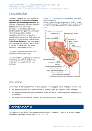 LES FONDAMENTAUX DE LA PATHOLOGIE DIGESTIVE
© CDU-HGE/Editions Elesevier-Masson - Octobre 2014
Toute reproduction ou traduction de l’ouvrage est interdite sans l’accord préalable de l’éditeur
Partie I : Les organes - Chapitre 7 : Pancréas - Page 5/17
Vascularisation
La tête du pancréas est vascularisée par
deux arcades duodénopancréatiques
artérielles antérieure et postérieure qui
sont des anastomoses entre les branches
du tronc cœliaque (les artères
pancréaticoduodénales supérieures,
branches de l’artère gastroduodénale) et
mésentérique supérieur (artère
pancréaticoduodénale inférieure). La
vascularisation du corps et de la queue est
assurée principalement par des rameaux
de l’artère splénique qui s’anastomosent
en une arcade au niveau du bord inférieur,
et par des rameaux issus de l’artère
mésentérique inférieure (figure 7.5).
Les veines, satellites des artères, sont
drainées par le système porte.
Les trois territoires lymphatique, hépatique,
mésentérique supérieur et splénique,
aboutissent aux lymphonœuds juxta-
aortiques.
Figure 7.5 : Vascularisation artérielle du pancréas
(vue postérieure)
Source : Gray’s Anatomie pour les étudiants, Richard L. Drake
(traduit de Drake, Vogl, Mitchell, Gray’s Anatomy for Students, 2nd
ed, 978044306952). Elsevier Masson, 2e
édition, 2011. Figure
4.101.
Innervation
L’innervation du pancréas provient du plexus solaire, encore appelé plexus cœliaque, composé par :
• les ganglions cœliaques ou semi-lunaires de part et d’autre de l’origine du tronc cœliaque ;
• les ganglions mésentériques supérieurs de part et d’autre de l’origine de l’artère mésentérique
supérieure ;
• les ganglions aorticorénaux, en avant de l’origine des artères rénales.
Radioanatomie
Les rapports radioanatomiques des éléments la paroi abdominale sont illustrés à l’aide de coupes
tomodensitométriques transversale (figures 7.6 à 7.9).
Artère hépatique
commune
Artère gastro-omentale gauche
Artère pancréaticoduodénale supérieure et postérieure
Artère
pancréaticoduodénale
inférieure
Artère pancréaticoduodénale
inférieure et antérieure
Artère pancréaticoduodénale
inférieure et postérieure
Artère gastrique gauche
Tronc cœliaque
Artère splénique
Artère mésentérique supérieure
Artère
pancréatique dorsale
Artère
grande pancréatique
Artère
gastroduodénale
 