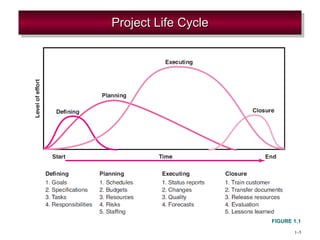 Project Life Cycle FIGURE 1. 1 