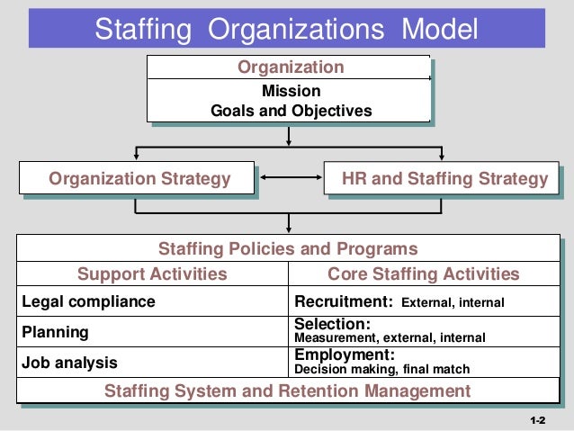 staffing model