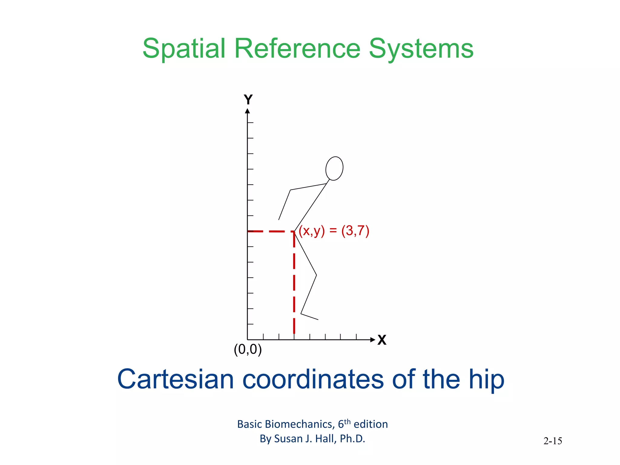 2-15
Spatial Reference Systems
(0,0)
X
Y
(x,y) = (3,7)
Cartesian coordinates of the hip
Basic Biomechanics, 6th edition
By Susan J. Hall, Ph.D.
 