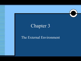 Chapter 3 The External Environment 