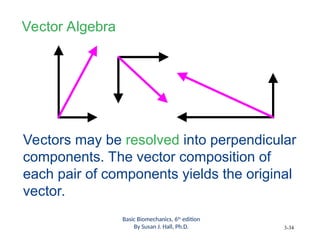 Kinect concept for analysing human motion role of kinetic motion | PPT