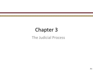 Chapter 3
The Judicial Process

3-1

 