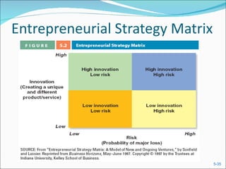Entrepreneurial Strategy Matrix 