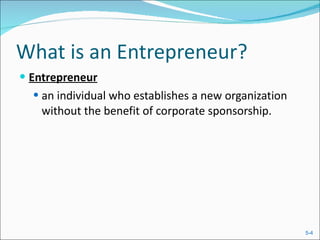 What is an Entrepreneur? Entrepreneur   an individual who establishes a new organization without the benefit of corporate sponsorship. 