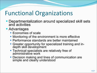 Functional Organizations Departmentalization around specialized skill sets and activities  Advantages Economies of scale Monitoring of the environment is more effective Performance standards are better maintained Greater opportunity for specialized training and in-depth skill development Technical specialists are relatively free of administrative work Decision making and lines of communication are simple and clearly understood 