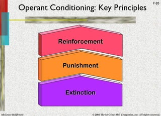 Operant Conditioning: Key Principles Reinforcement Punishment Extinction 