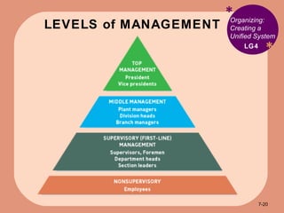 LEVELS of MANAGEMENT * * Organizing: Creating a Unified System LG4 7- 