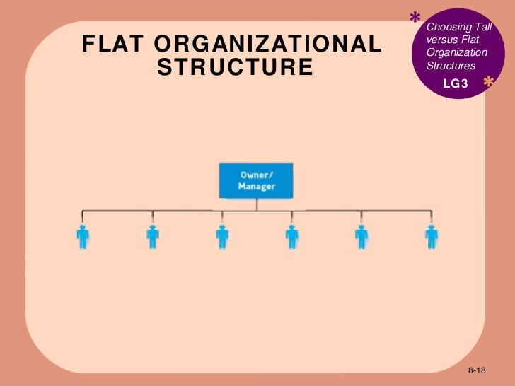 flat organizational structure
