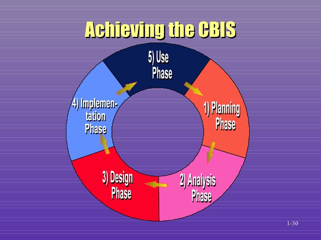 Introduction to the ComputerBased Information System