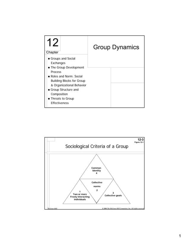 Chap010a group dynamics | PDF
