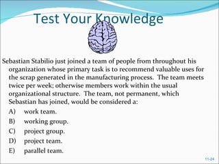 Test Your Knowledge Sebastian Stabilio just joined a team of people from throughout his organization whose primary task is to recommend valuable uses for the scrap generated in the manufacturing process.  The team meets twice per week; otherwise members work within the usual organizational structure.  The team, not permanent, which Sebastian has joined, would be considered a:  A) work team.  B) working group.  C) project group.  D) project team.  E) parallel team.  