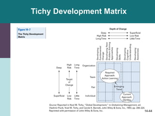 14-44
Tichy Development Matrix
 
