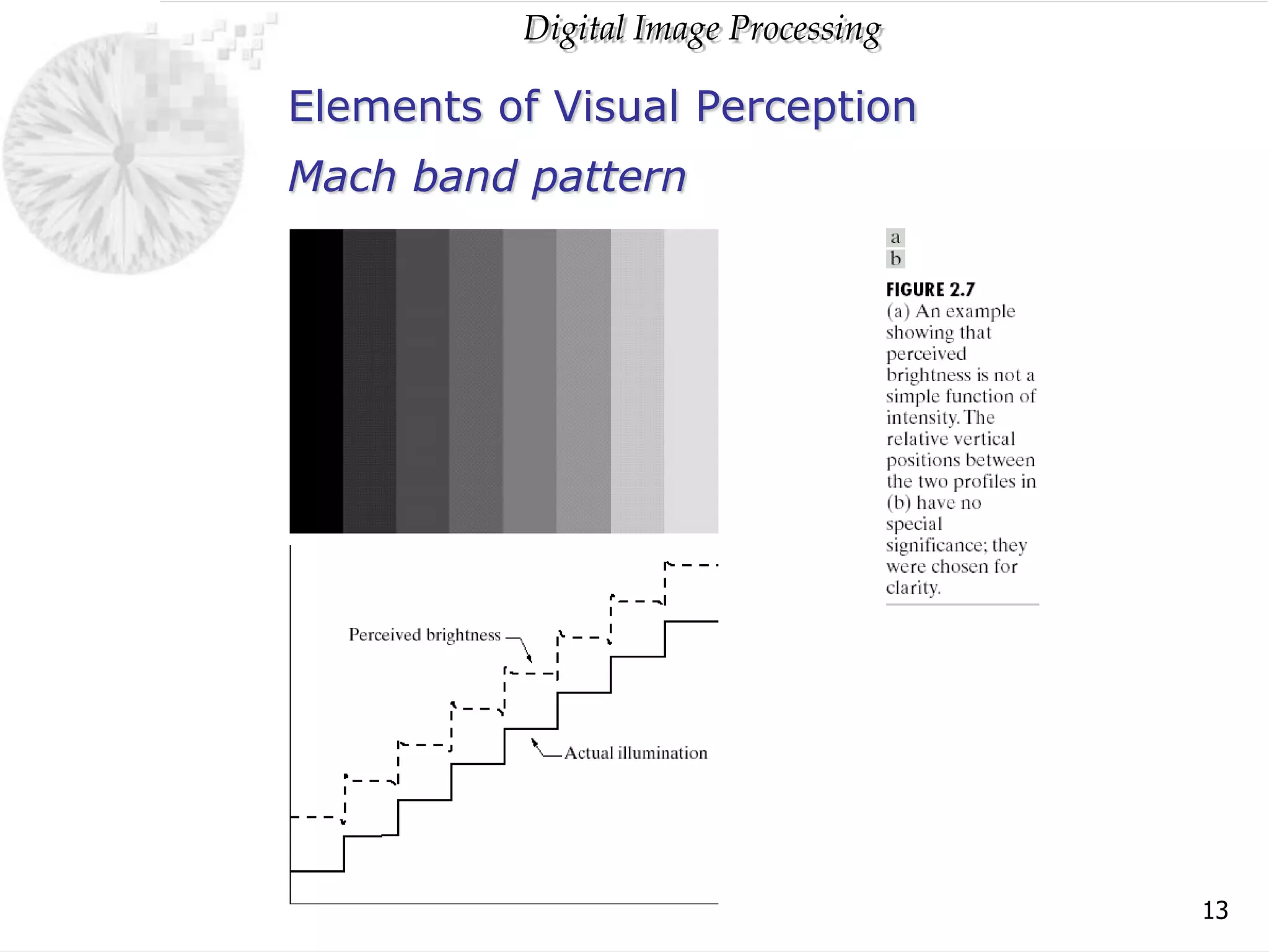 Digital Image Processing
13
Elements of Visual Perception
Mach band pattern
 