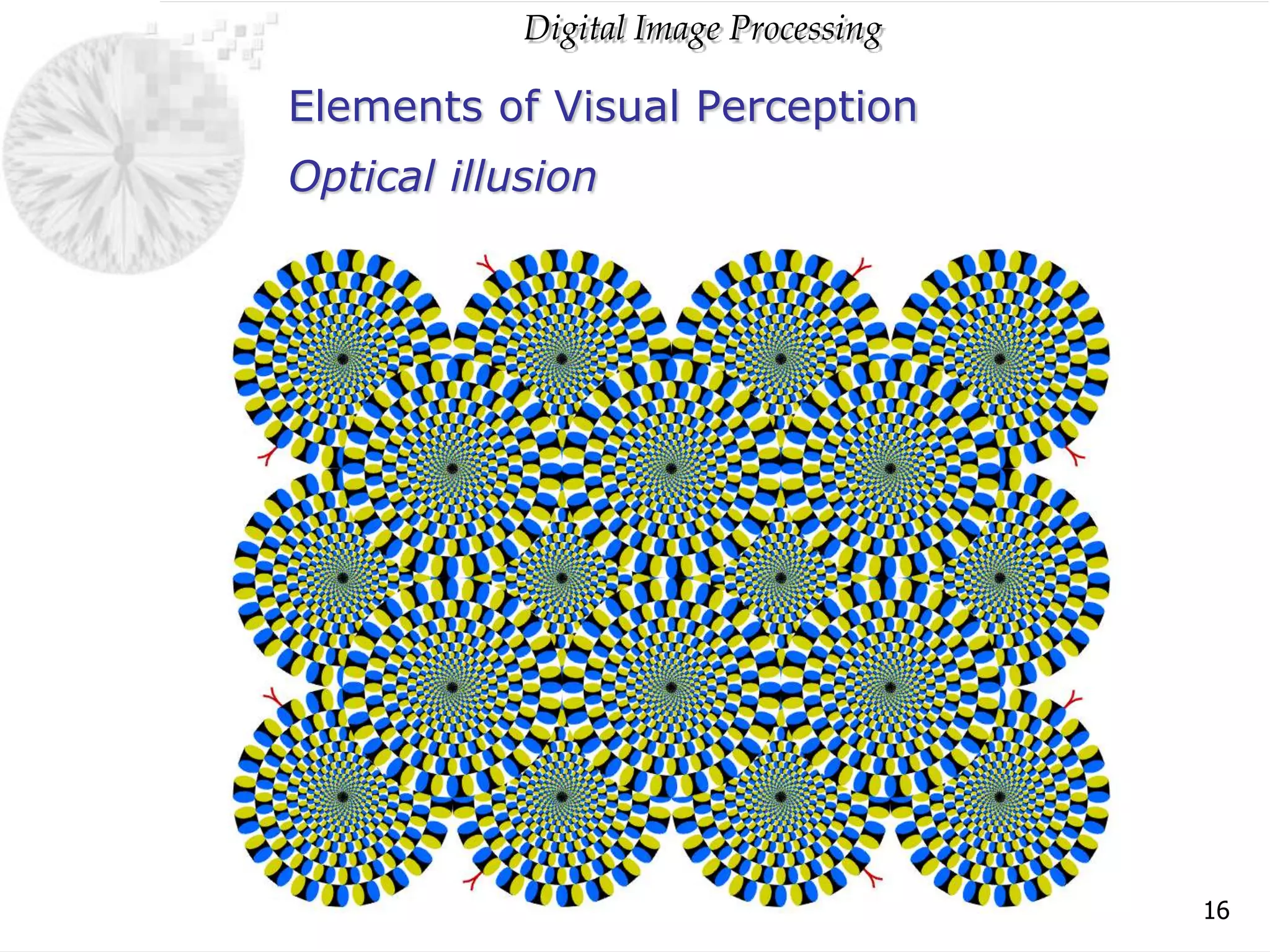 Digital Image Processing
16
Elements of Visual Perception
Optical illusion
 