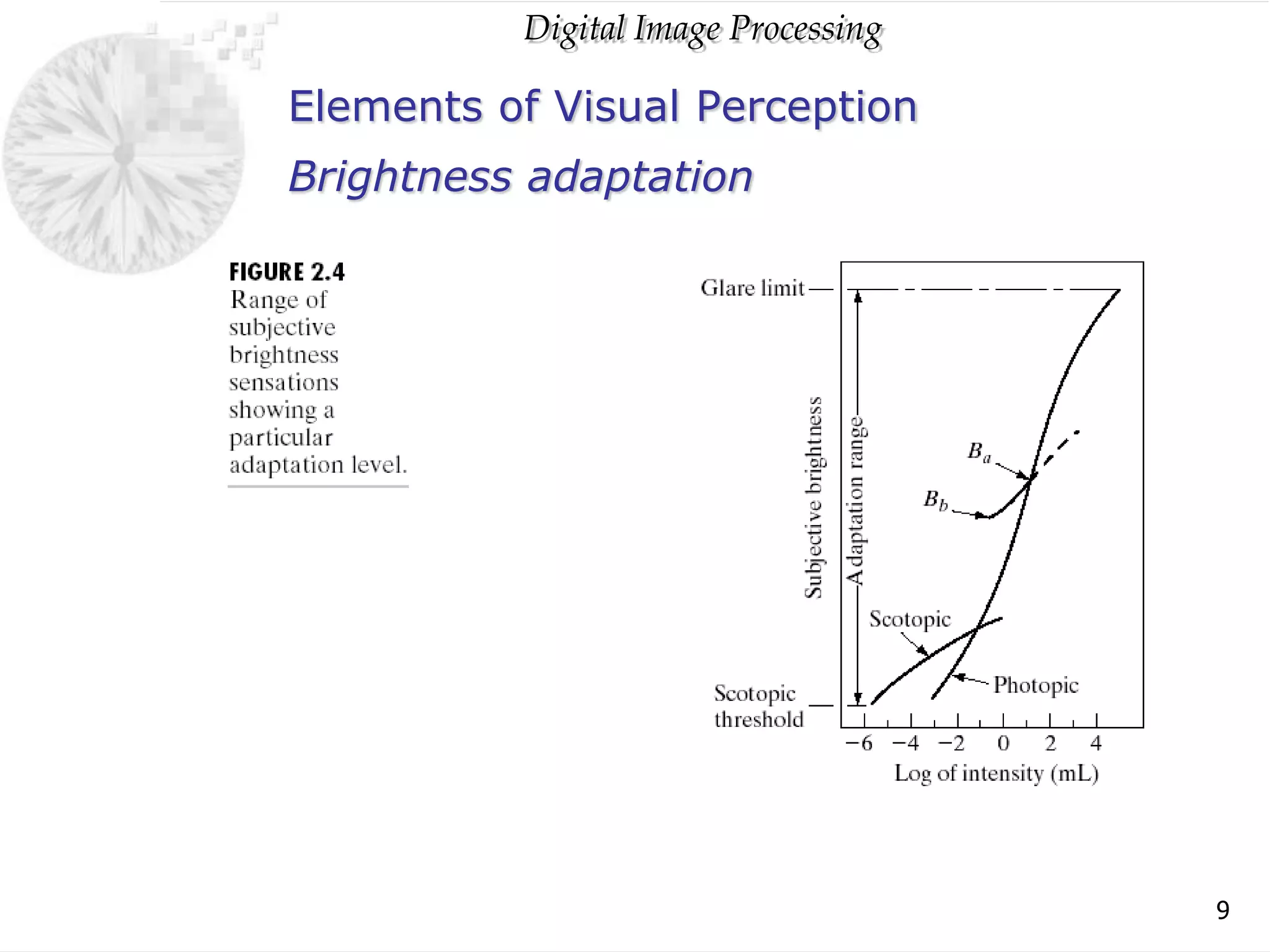 Digital Image Processing
9
Elements of Visual Perception
Brightness adaptation
 