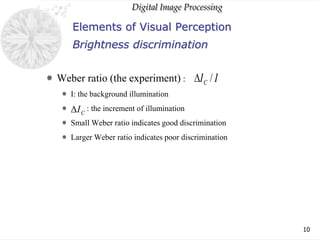 Chap01 visual perception | PPTX