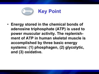 Key Point 
• Energy stored in the chemical bonds of 
adenosine triphosphate (ATP) is used to 
power muscular activity. The replenish-ment 
of ATP in human skeletal muscle is 
accomplished by three basic energy 
systems: (1) phosphagen, (2) glycolytic, 
and (3) oxidative. 
 