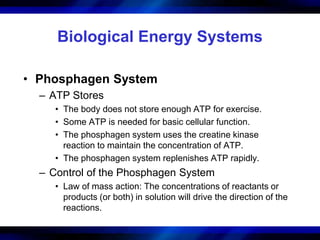Biological Energy Systems 
• Phosphagen System 
– ATP Stores 
• The body does not store enough ATP for exercise. 
• Some ATP is needed for basic cellular function. 
• The phosphagen system uses the creatine kinase 
reaction to maintain the concentration of ATP. 
• The phosphagen system replenishes ATP rapidly. 
– Control of the Phosphagen System 
• Law of mass action: The concentrations of reactants or 
products (or both) in solution will drive the direction of the 
reactions. 
 