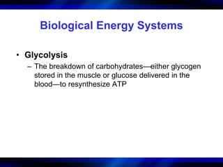 Biological Energy Systems 
• Glycolysis 
– The breakdown of carbohydrates—either glycogen 
stored in the muscle or glucose delivered in the 
blood—to resynthesize ATP 
 