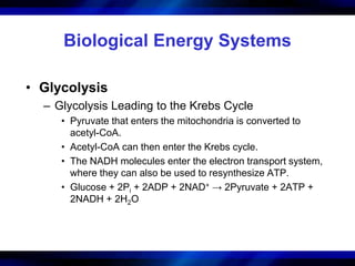 Biological Energy Systems 
• Glycolysis 
– Glycolysis Leading to the Krebs Cycle 
• Pyruvate that enters the mitochondria is converted to 
acetyl-CoA. 
• Acetyl-CoA can then enter the Krebs cycle. 
• The NADH molecules enter the electron transport system, 
where they can also be used to resynthesize ATP. 
• Glucose + 2Pi + 2ADP + 2NAD+ → 2Pyruvate + 2ATP + 
2NADH + 2H2O 
 